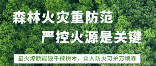 省农业农村厅领导到辽阳县督导春季农作物种子监管工作